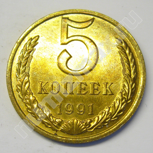 Монета: 5 коп. 1991 г. (реверс)