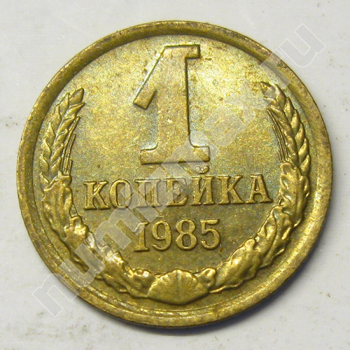 Монета: 1 коп. 1985 г. (реверс)
