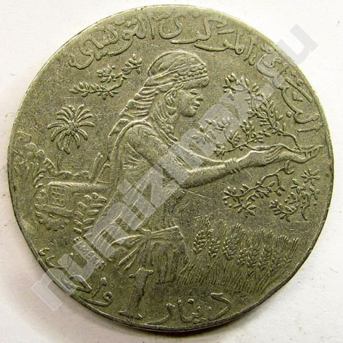 Монета: 1 динар 2009 г. (реверс)