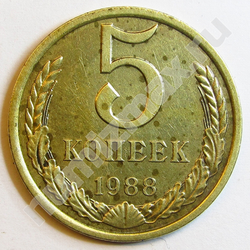 Монета: 5 коп. 1988 г. (реверс)