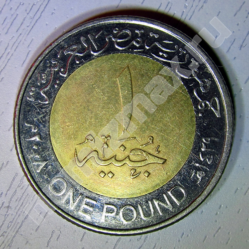 Монета: 1 фунт 2010 г. (реверс)